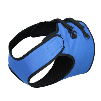 Rehabilitation Training Belt