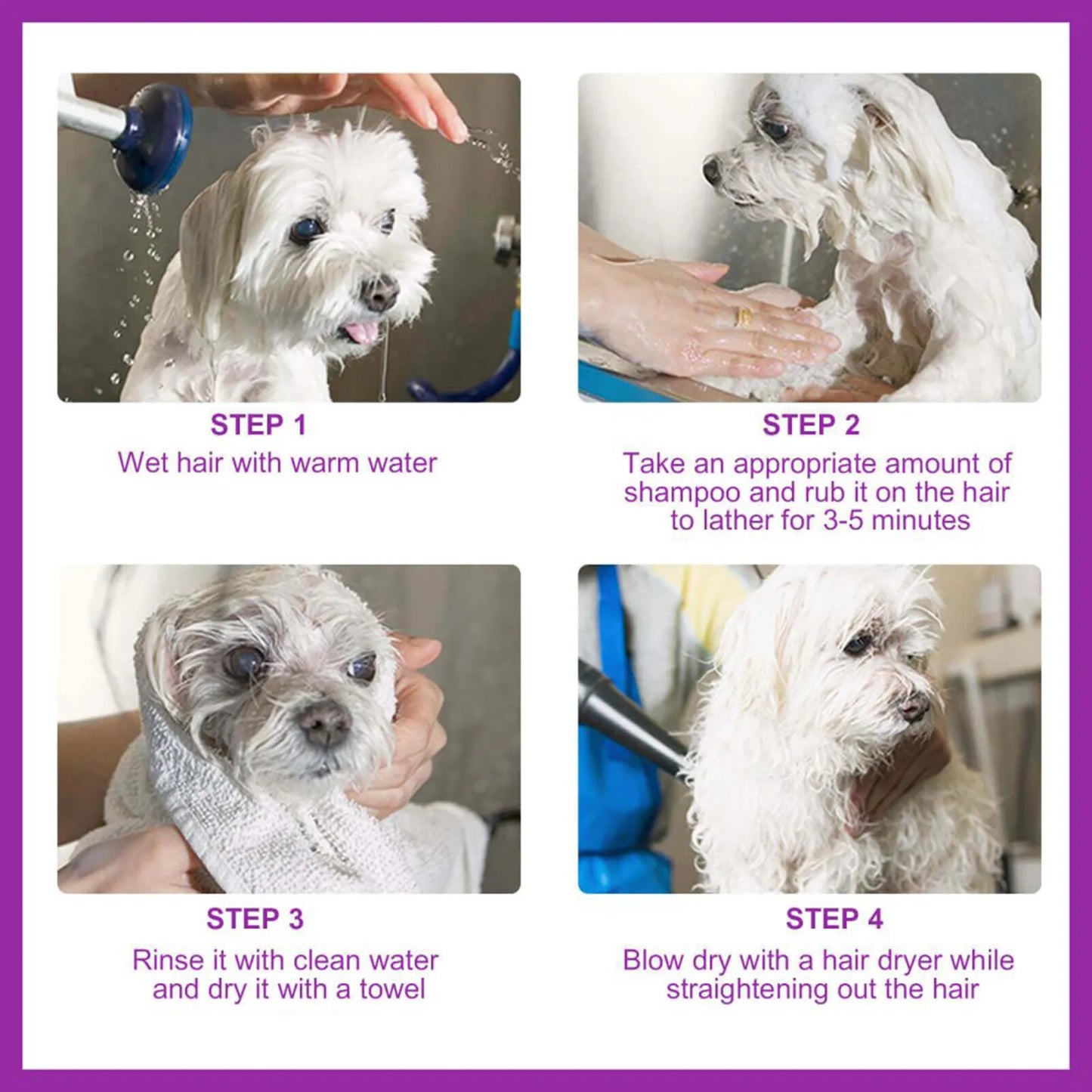 Pet Perfect Shampoo