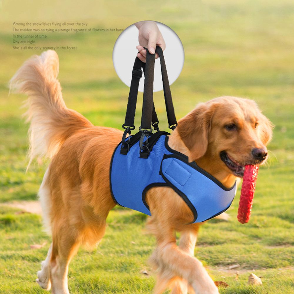 Rehabilitation Training Belt