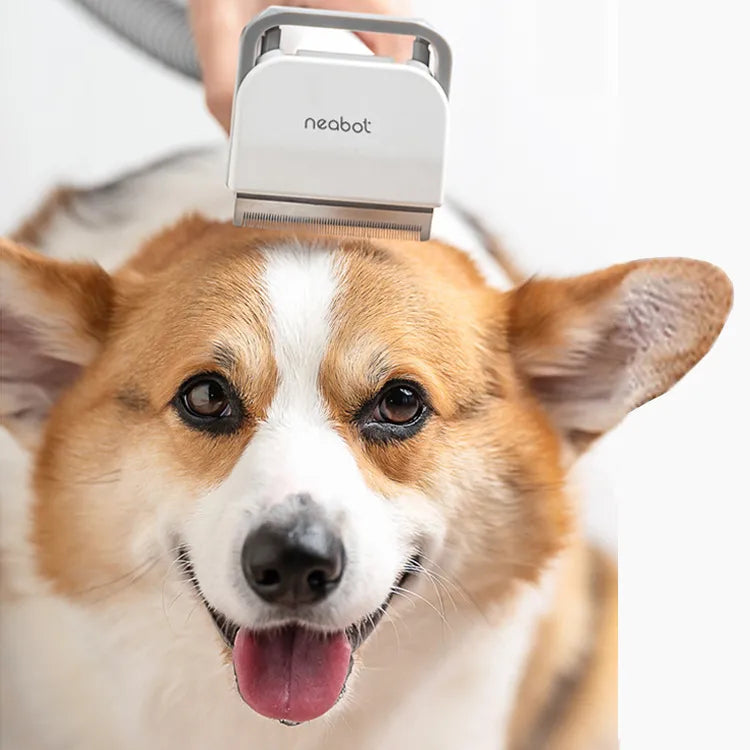 SmoothFur Pet Groomer